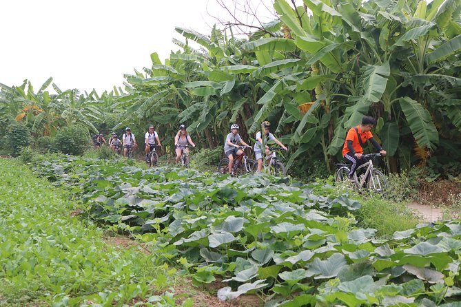 Red River island backroad, Rural Countyside Area and Train Street - Long Bien Market and the ride toward Long Bien Bridge