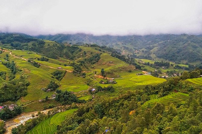 Rice Terraced Fields & Homestay Experience– 2D 1N - Sapa in Two Days: What This Rice Terrace Hike Really Gives You