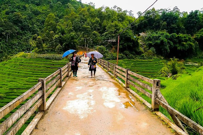 Rice Terraced Fields & Homestay Experience– 2D 1N - Price and logistics: Is $85 good value here?