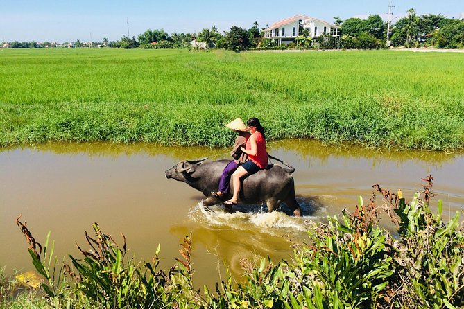 Riding Water Buffalo and Basket Boat Hoi An Private Bike Tour - How the 2.5-hour countryside ride works from the meeting point