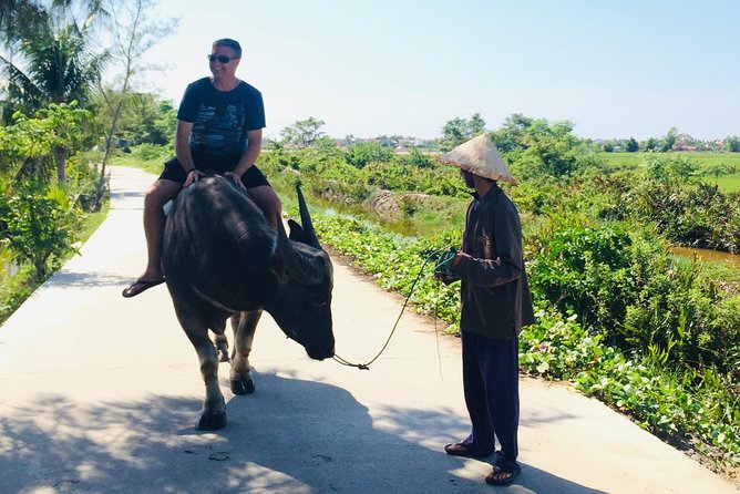 Riding Water Buffalo and Basket Boat Hoi An Private Bike Tour - The water buffalo ride: up-close, and guided by local respect