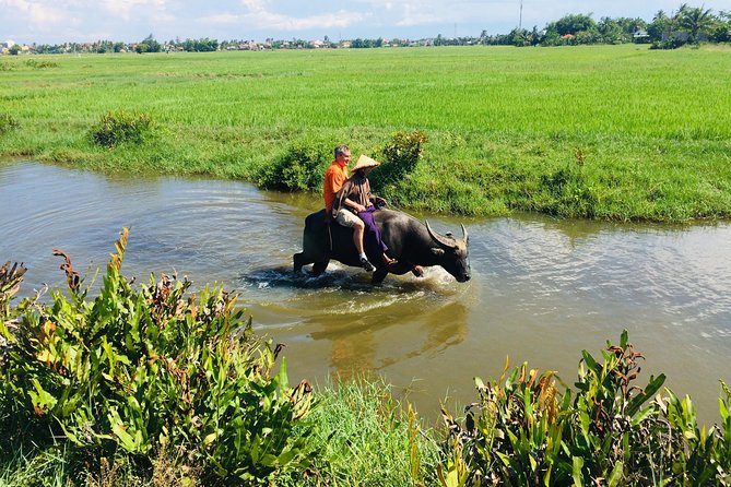 Riding Water Buffalo and Basket Boat Hoi An Private Bike Tour - Price and value: why $29 can make sense for a private half-day
