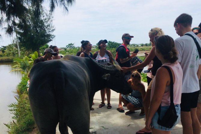 Riding Water Buffalo and Basket Boat Hoi An Private Bike Tour - Who should book this Hoi An bike-and-buffalo tour