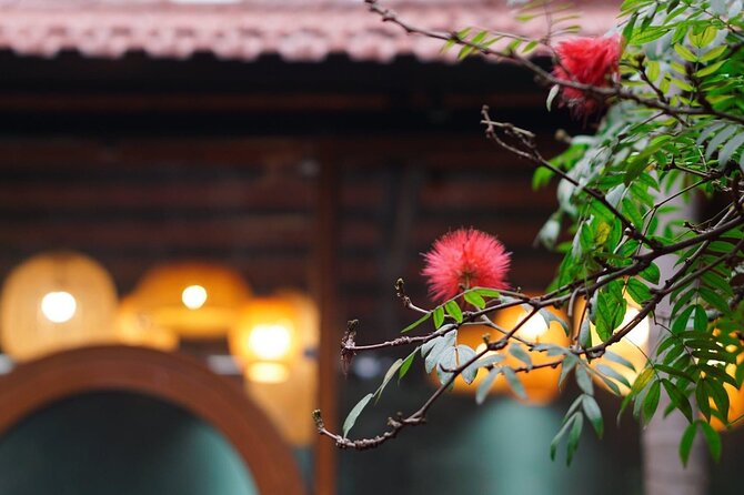 Rose Kitchen Hanoi: Market, Cooking & Culture Tour + Free PickUp - Potential Downsides and How to Get the Most Out of It