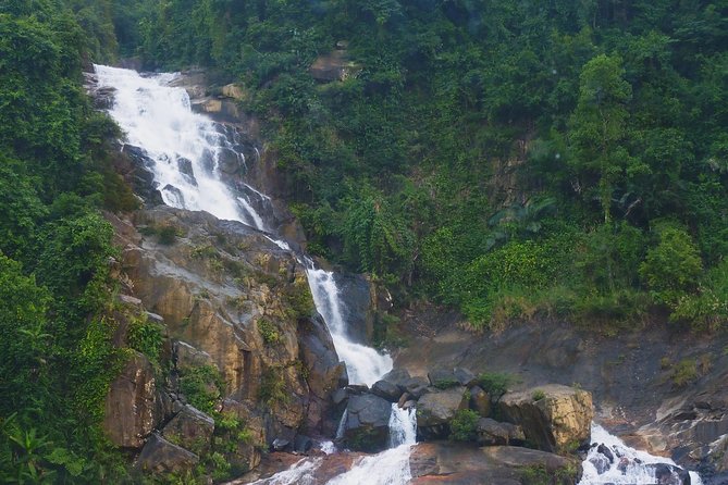 Round trip Transfer from Danang to Ba Na hills for Golden Bridge - How Guides and Private Groups Change the Experience