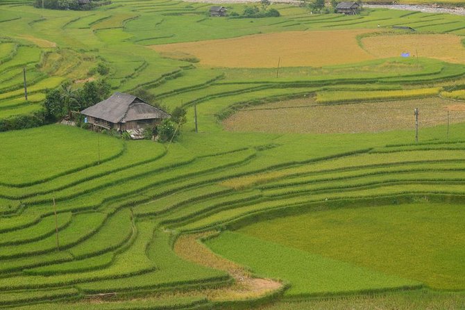 Sa Pa 2-Day Moderate Trek and Homestay Limousine Tour from Hanoi - Meals, Guide, and Entrance Fees: Why the Price May Work for You