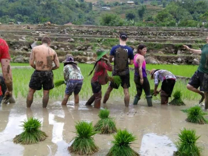 Sa Pa: 2-Day Trekking Trip with Ethnic Minority Homestay - The Dzay homestay night, what you gain from staying instead of just touring
