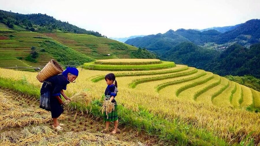 Sa Pa: 6-Hours Muong Hoa Valley Trek with Local Ethnic guide - Key highlights worth your attention