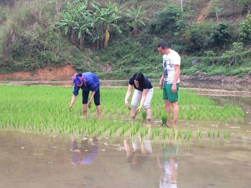 Sa Pa: 6-Hours Muong Hoa Valley Trek with Local Ethnic guide - Muong Hoa Valley in 6 Hours for $18: what value looks like