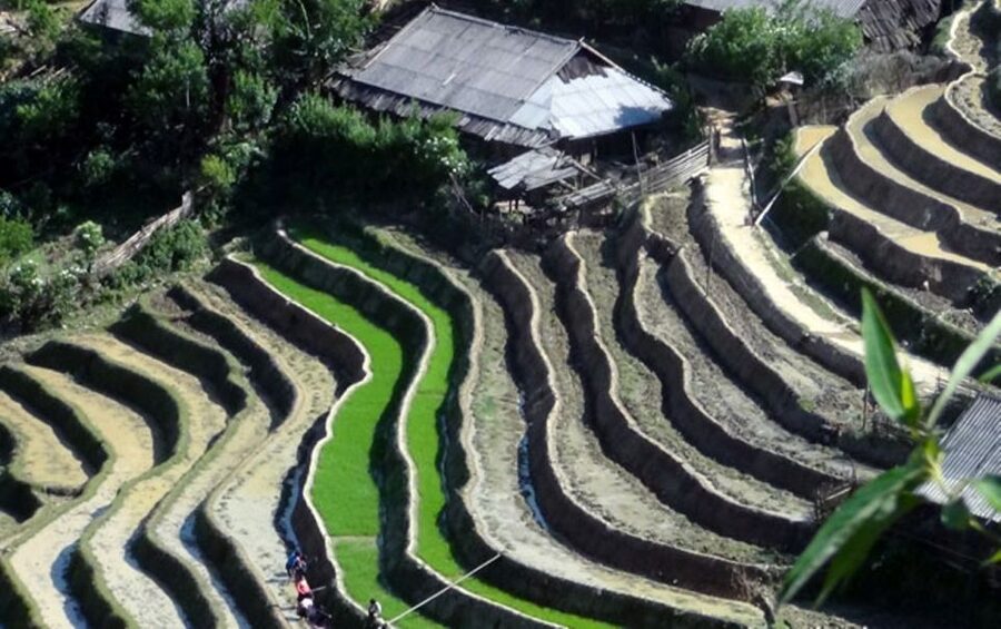 Sa Pa: 6-Hours Muong Hoa Valley Trek with Local Ethnic guide - Lunch at the local restaurant: eat, rest, and handle the selling pressure