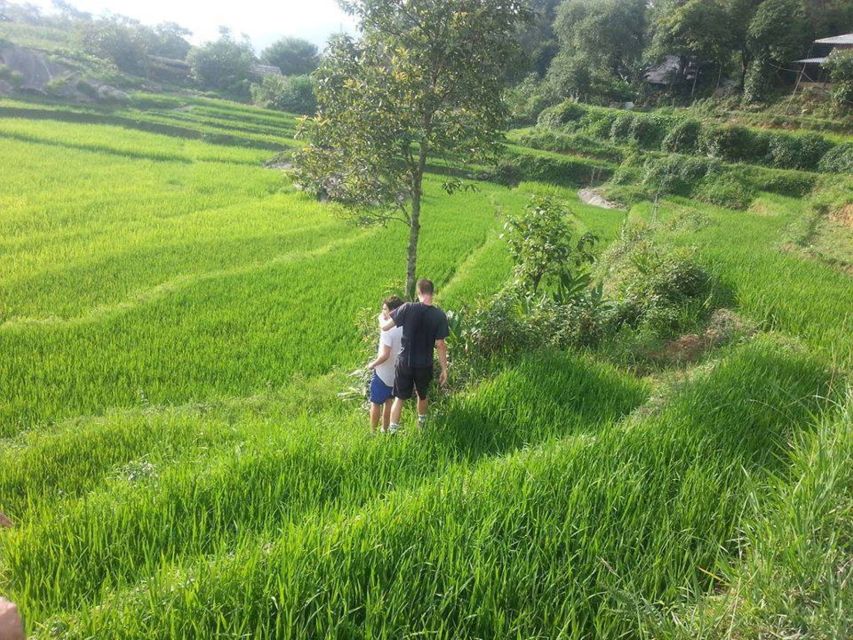 Sa Pa: 6-Hours Muong Hoa Valley Trek with Local Ethnic guide - Dzay tribe encounters: real contrasts in customs and costume
