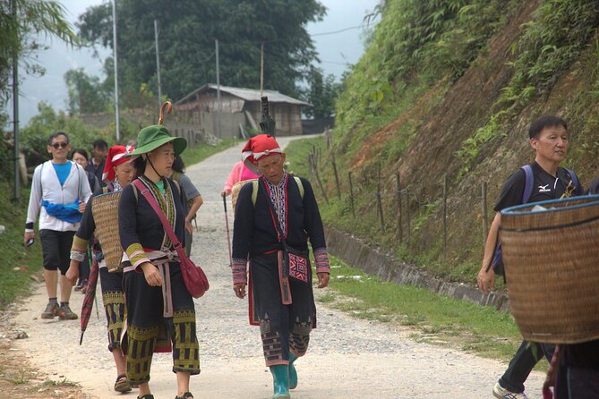 Sa Pa Full Day Trekking Tour - Timing and logistics: starting at 8:00 in Sapa