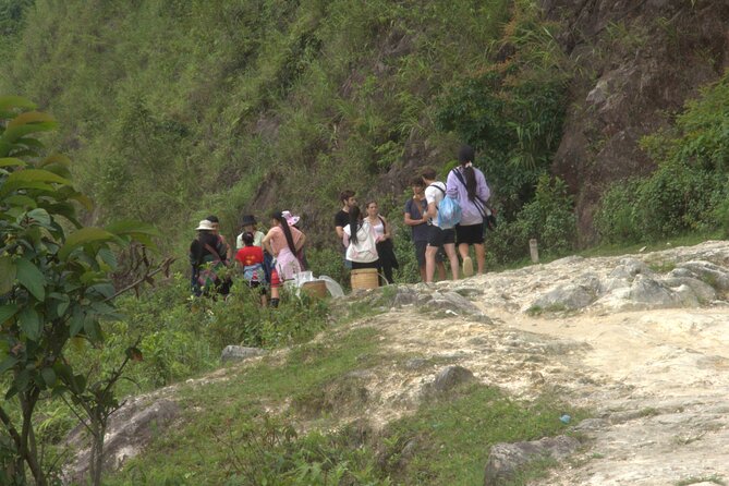 Sa Pa Full Day Trekking Tour - Stop 4: Returning to Sapa Town by bus near Cầu Mây street