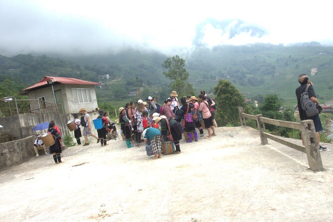 Sa Pa Full Day Trekking Tour - The guide factor: route knowledge and real explanations