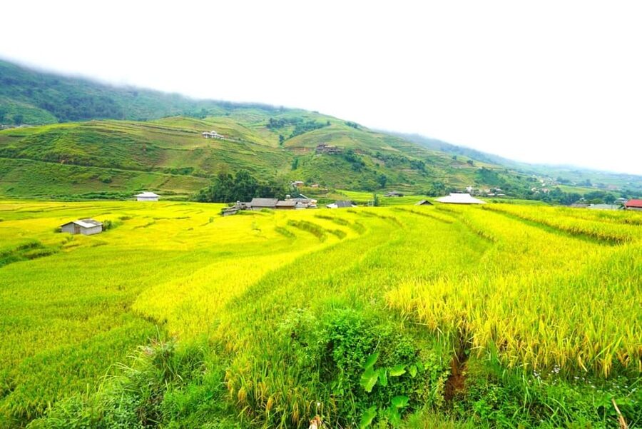 Sa Pa: Half-Day Cat Cat Village Hike to Meet H'mong People - Hiking back up to Sapa: scenery, pace, and comfort planning