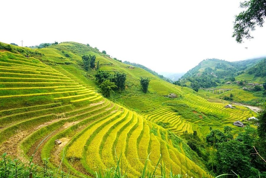 Sa Pa: Half-Day Cat Cat Village Hike to Meet H'mong People - Guide quality and small-group size: why it can feel easy