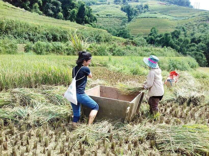 Sa Pa: Muong Hoa Valley Trek and Local Ethnic Villages - Quick Reasons This Trek Gets High Scores