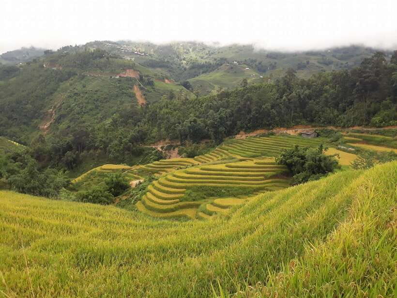 Sa Pa: Muong Hoa Valley Trek and Local Ethnic Villages - Lao Chai And Black Hmong Life: Rice Terraces Through The Mist