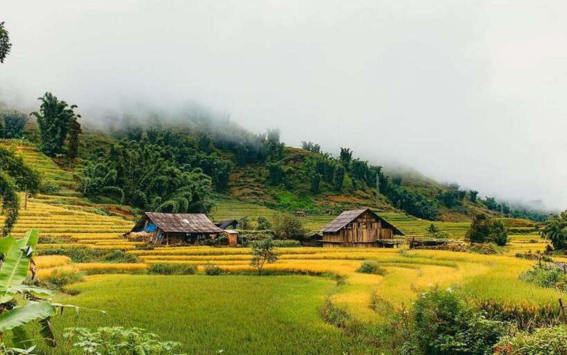 Sa Pa: Muong Hoa Valley Trek and Local Ethnic Villages - Lunch At A Local House: The Meal Is Part Of The Culture