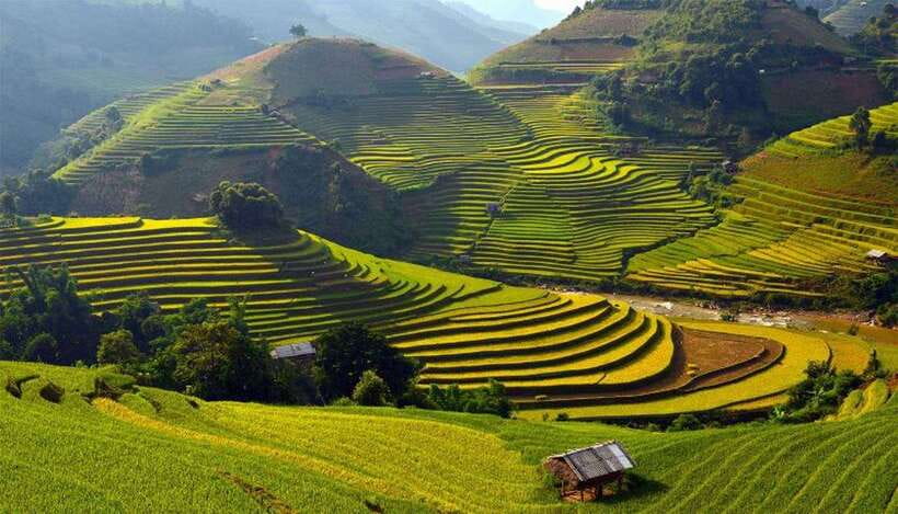 Sa Pa: Muong Hoa Valley Trek and Local Ethnic Villages - Leaving Sapa: Pickup, English Guide, And A 10 Kilometer Game Plan
