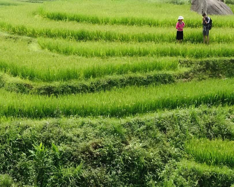 Sapa 1 Day Long Trek: Trek to Hau Thao and Sa Seng Villages - Your guide can make or break the day