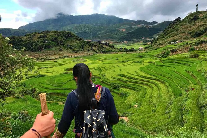 Sapa 2 Day Trekking with 1 Night Homestay - What can affect your day: weather, trail effort, and tourist interruptions