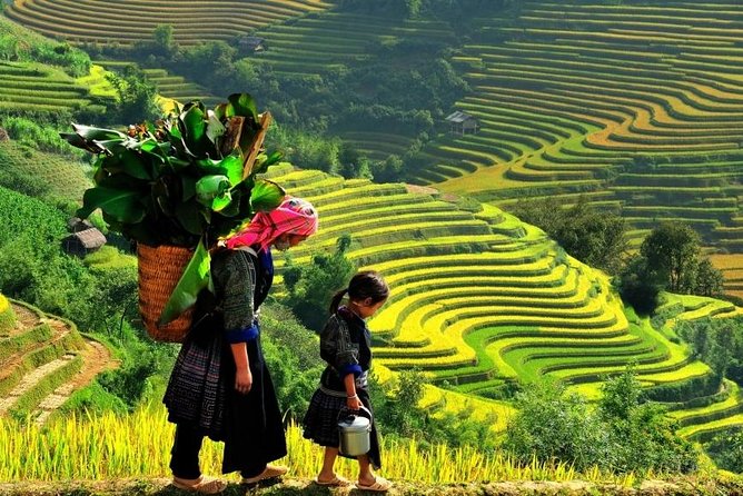 Sapa 2 Days 1 Night From Hanoi - Overnight in Hotel - Your one night in Sapa: The View Sapa Hotel (or similar) reality check