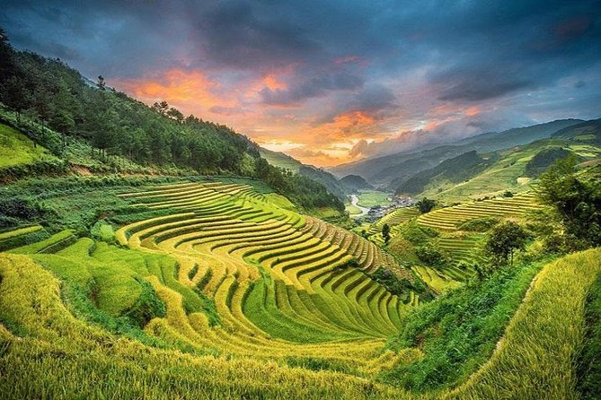 Sapa 2 Days 1 Night From Hanoi - Overnight in Hotel - Day two trek to Ta Van: rice terraces, village paths, and a light-pack strategy