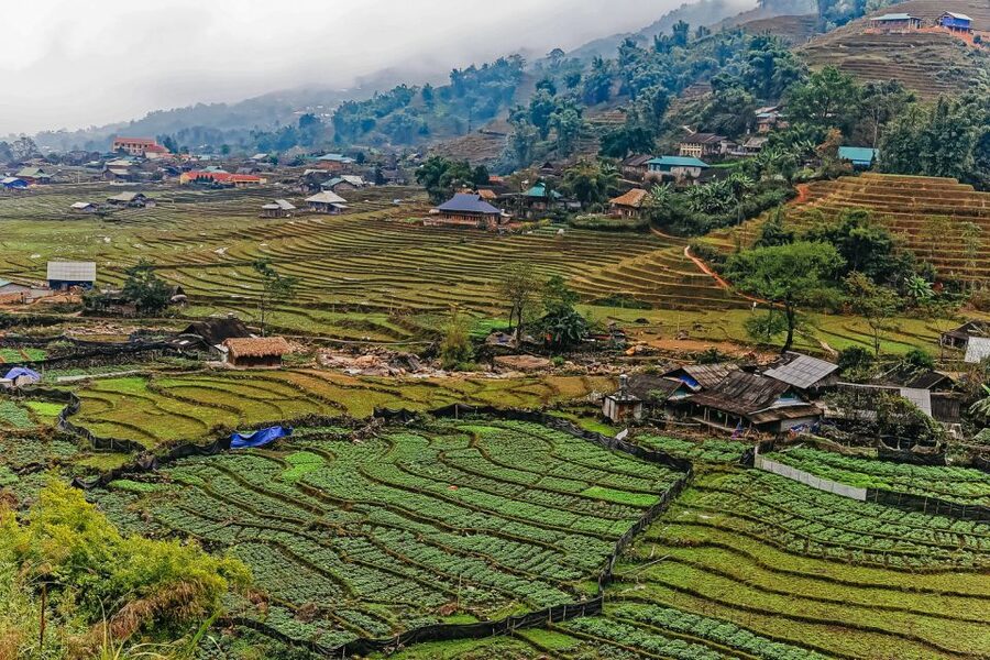 Sapa: 3-Day, 3-Night Trek and Hotel with Overnight Train - Overnight train Hanoi to Lao Cai: sleep, reset, then start walking