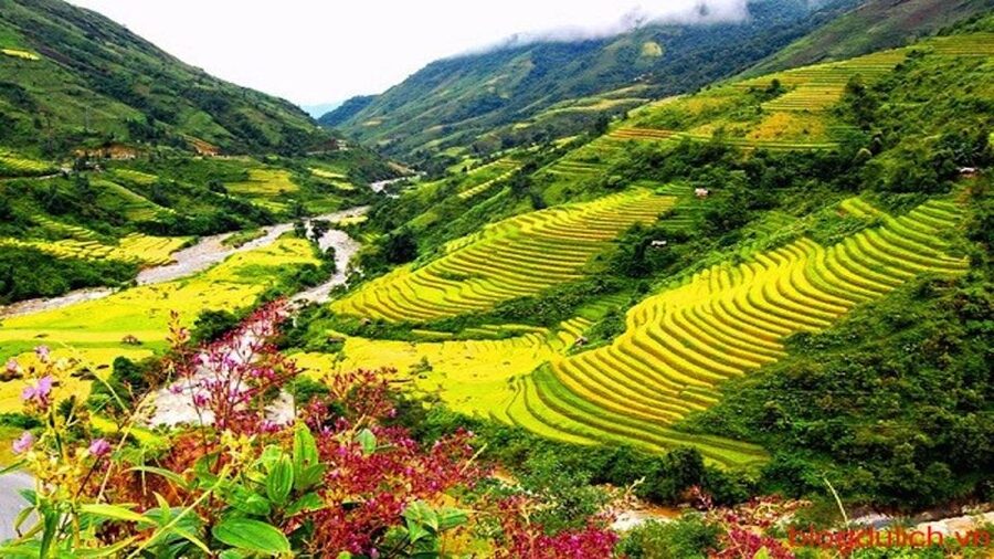 Sapa: 3-Day, 3-Night Trek and Hotel with Overnight Train - Selling pressure on the trail: how to handle it without killing the vibe