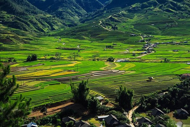 Sapa 3 Days 2 Nights Trekking Tour (1 Night In Ta Van Village, 1 Night In Hotel) - Day 2 Rice Terraces and Y Linh Ho to Ta Van Homestay