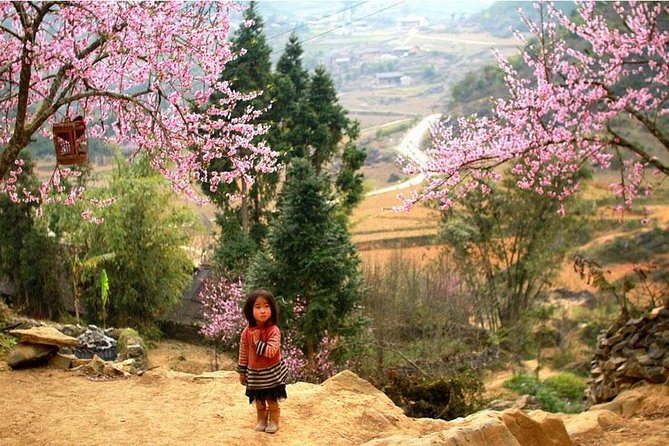 Sapa 3 Days 2 Nights Trekking Tour (1 Night In Ta Van Village, 1 Night In Hotel) - Meals, Drinks, and Why the Included Food May Not Be Everyone’s Favorite