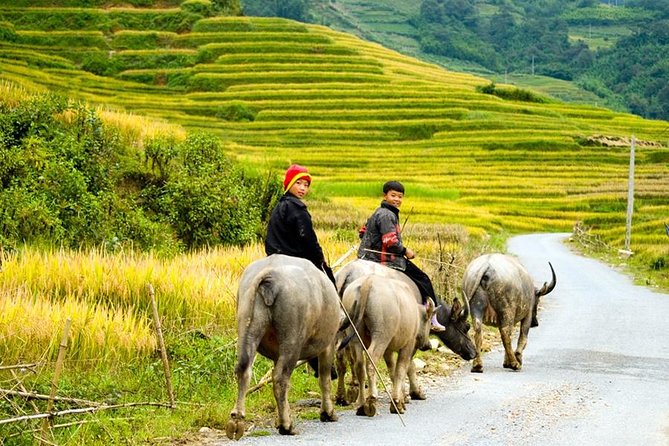 Sapa 3 Days 2 Nights Trekking Tour (1 Night In Ta Van Village, 1 Night In Hotel) - The Hanoi to Sapa Morning Bus Ride, With Stops That Actually Help