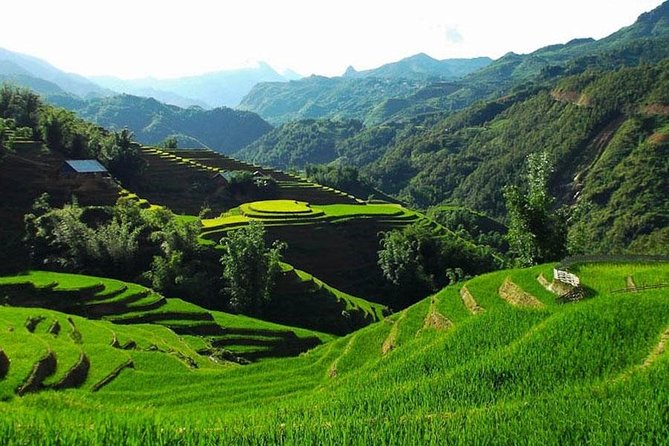 Sapa 3 Days 2 Nights Trekking Tour From Hanoi (2 Nights in Hotel) - Day 3 Sapa morning, optional Fansipan, then back to Hanoi