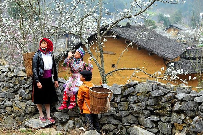 Sapa 3 Days 2 Nights Trekking Tour From Hanoi (2 Nights in Hotel) - Day 2 Ta Van rice terraces and Muong Hoa Stream: the best “walk in motion” day
