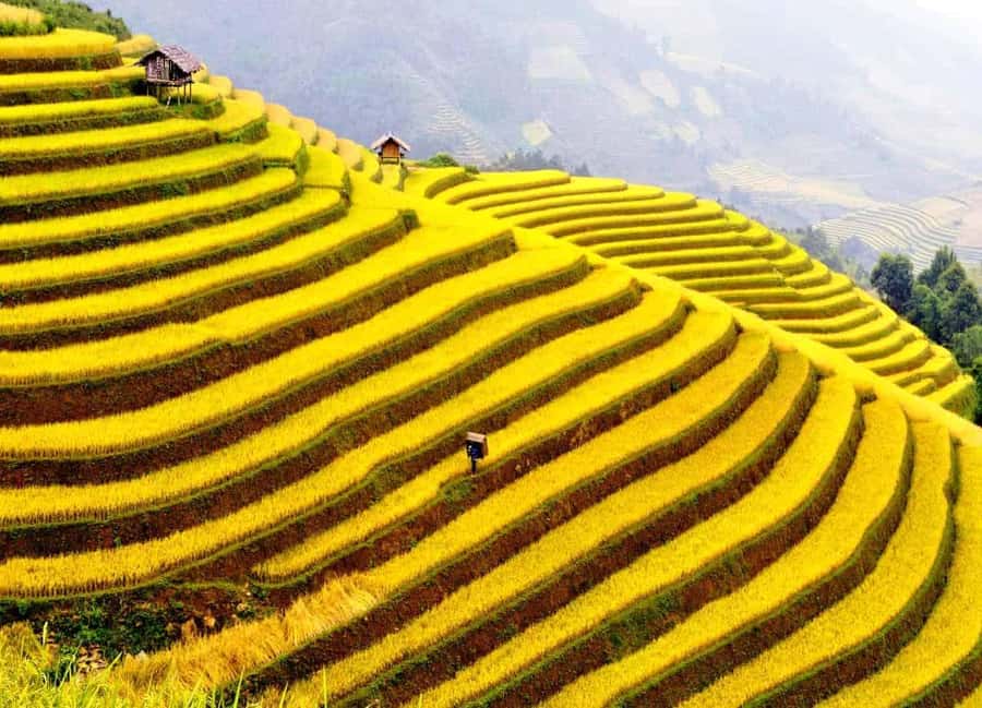 Sapa: Cat Cat Village, Moana, Alpine Coaster, Fansipan Cable - What you pay: $33 and how the inclusions change the math