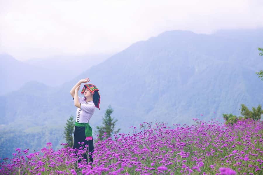 Sapa: Cat Cat Village, Moana, Alpine Coaster, Fansipan Cable - Timing matters: morning vs afternoon, and the Alpine Coaster option