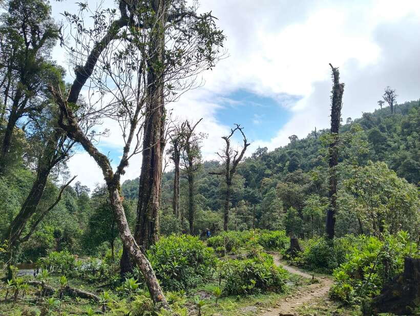 SAPA : Climb up to Fansipan mountain with LOCAL GUIDE - Trekking through altitude changes, cardamom, and the Muong Hoa valley