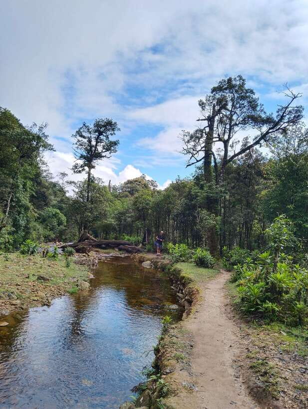 SAPA : Climb up to Fansipan mountain with LOCAL GUIDE - Arriving near the top: Fansipan peak at 3,143 m