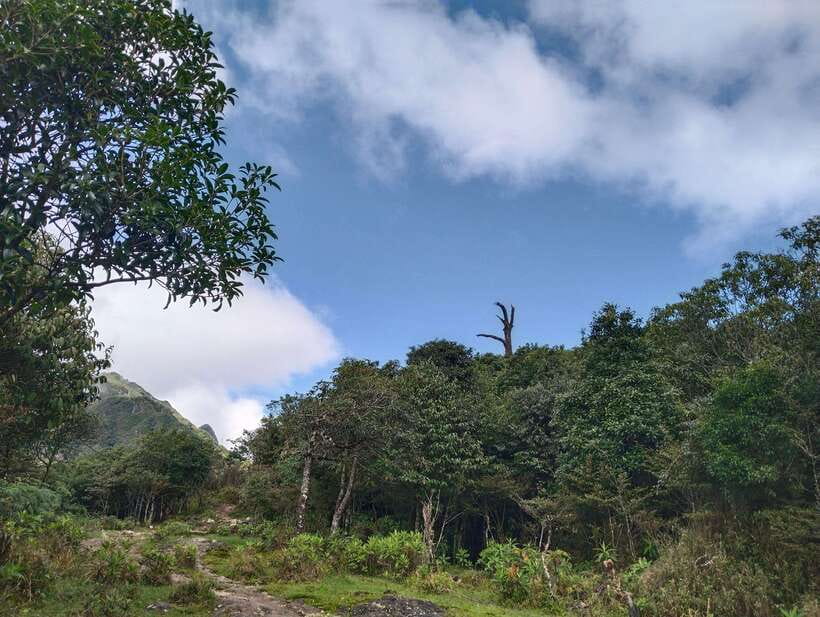 SAPA : Climb up to Fansipan mountain with LOCAL GUIDE - Lunch, water, and gloves: the trail basics you should not skip