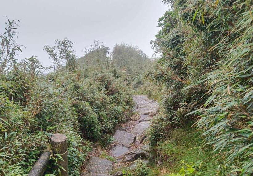 SAPA : Climb up to Fansipan mountain with LOCAL GUIDE - Cable car down: a smart safety valve, but it costs extra