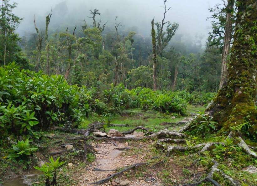 SAPA : Climb up to Fansipan mountain with LOCAL GUIDE - Price and value: why $72 can make sense for this specific trek