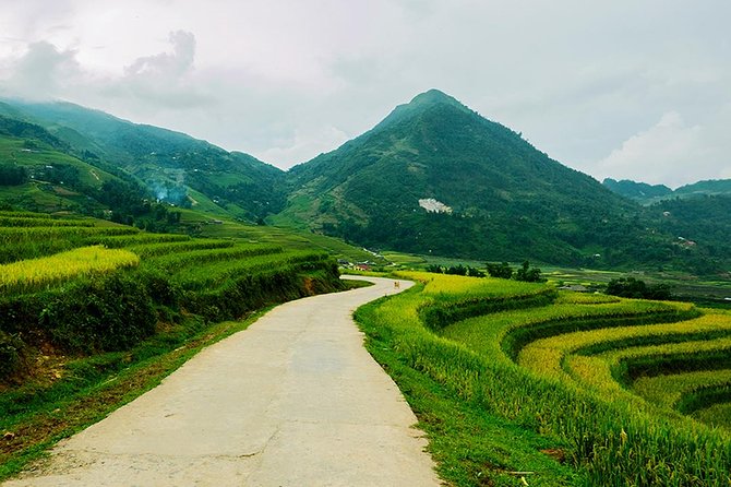 Sapa Easy Trekking Tour 1 Day - Rice Paddies and Cultures - Rice terraces and mountain views, minus the rush
