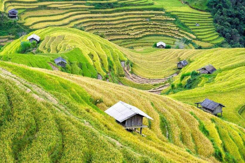 Sapa: Eco Adventure Terrace Fields and Local Villages Trek - Lao Chai Village and Hmong clothing-making: culture you can talk about
