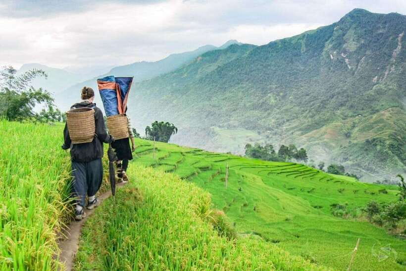 Sapa: Eco Adventure Terrace Fields and Local Villages Trek - Who this Sapa trek fits, and who should sit this one out