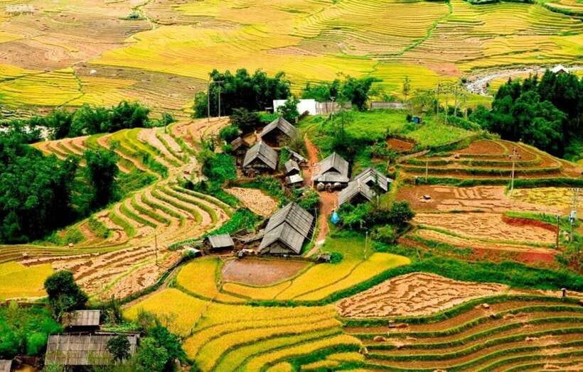 Sapa: Eco Adventure Terrace Fields and Local Villages Trek - Should you book this Sapa eco village trek?