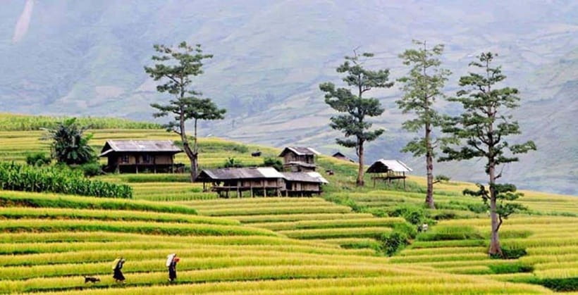 Sapa: Eco Adventure Terrace Fields and Local Villages Trek - Y Linh Ho Village and the bridge crossing before Lao Chai Sang