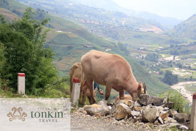 Sapa hard trekking villages homestay 3days/ 2nights tour - amazing culture - Fitness level, weather, and how to plan for Sapa’s mood swings