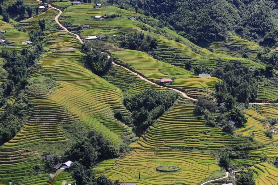 Sapa: Local Exploration on a Guided Motorbike Tour - Price and Value: Is $50-80 Reasonable in Sapa?