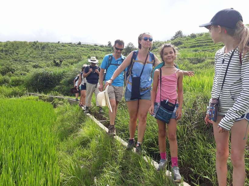 Sapa: Love Silver Waterfall, LonelyTree in Heaven-Rice Field - A Half-Day Plan That Actually Feels Like Sapa